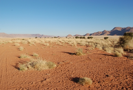 Parc national du Namib-Naukluft